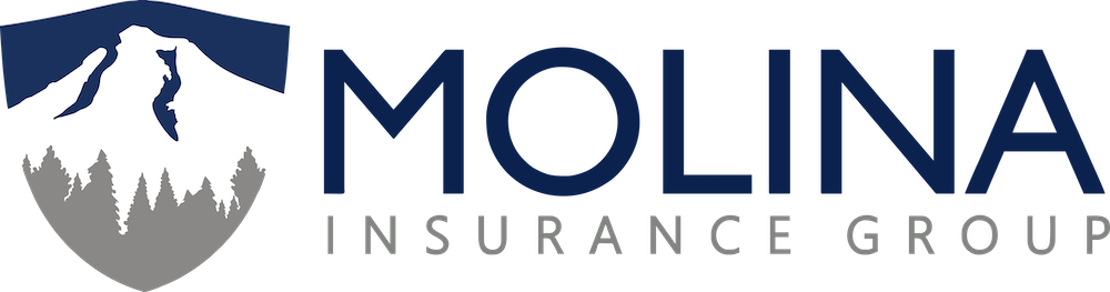 Molina Insurance – Hillsboro – Insurance for Auto, Homeowners, Business, Life & More!